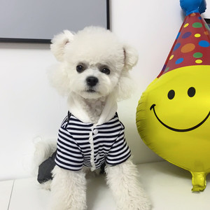 Striped Dog <b>Overalls</b> Cotton-Padded Clothes For Small Breeds Autumn <b>Winter</b> Wear Cute Comfortable Pet Apparel - Product Image 2