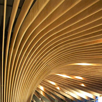 Panel de Aluminio con Diseño de Madera Ondulada, Tubo Cuadrado de Aluminio, Decoración para Muro Cortina Exterior