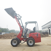 Caricatore Multifunzione a Batteria Nuovo Design Carico Nominale 500kg Caricatore Frontale Elettrico DY25E