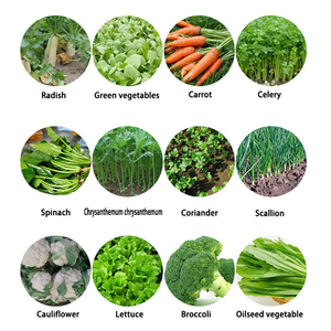 Sembradora Manual de Vegetales, Sembradora de Precisión de Empuje Manual para Tomates, Zanahorias, Cebollas, Lechugas y <span class=keywords><strong>Semillas</strong></span> Pequeñas, 3 Filas - Product Image 3