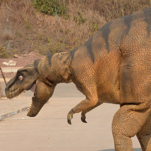 Costume de dinosaure attrayant Animatronic de T-rex à vendre <span class=keywords><strong>Jurassic</strong></span> <span class=keywords><strong>World</strong></span> - Product Image 2