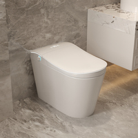 Articles sanitaires modernes : WC intelligent automatique avec cuvette intégrée