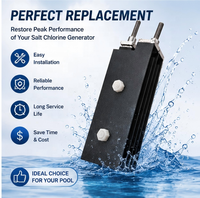 Électrodes en titane revêtues Gr1/Gr2 avec revêtement noir pour piscines – Cellules d'électrolyse au sel de remplacement pour la chloration – Pliage et découpe