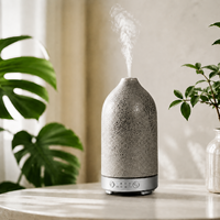 Diffuseur d'arômes portable en céramique, machine à huiles essentielles, aromathérapie, machine à lumière LED, diffuseur d'arômes ultrasonique pour la maison