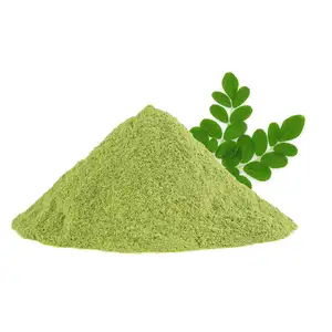 Factory Direct Sale Wholesale Price Dried Powdered Moringa Leaves 100% Pure Moringa Leaves Powder Moringa Extract