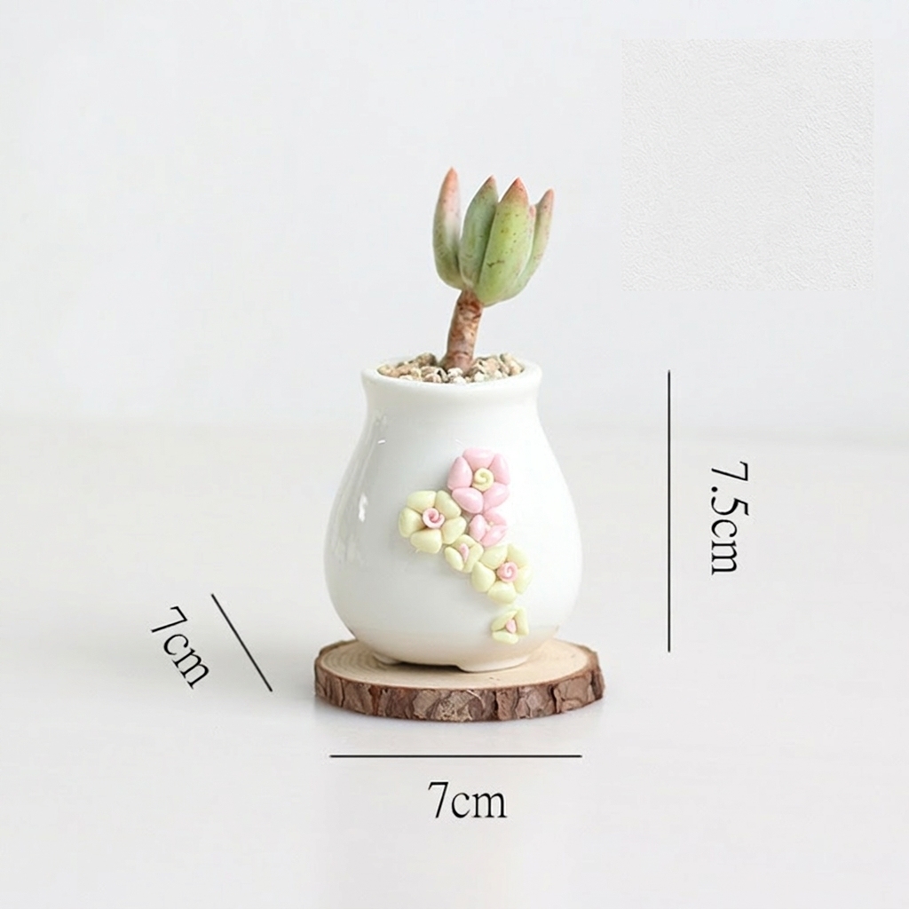 Handmade Pinch Ceramic Succulent Pot – White Painted Small Planter - View 5