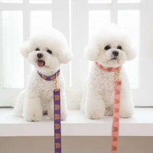 INS 귀여운 고양이 애완 동물 하네스 야외 산책 조절 개 목걸이 및 가죽 끈 패션 사용자 정의 개 하네스 세트 - Product Image 2