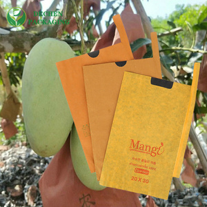 Cheap Fruit Bagging in Mango with Affordable Mango Bagging - Budget-Friendly & Effective Cheap Fruit Bagging in Mango with Affordable Mango Bagging - Budget-Friendly & Effective