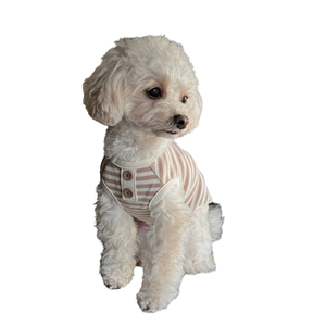 <b>Button</b>-Front Knit <b>Dog</b> Pet Clothes Taiwan Made Eco-Friendly Solid XS Size Small Breed Pet Outfit - Product Image 1