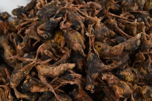 OEM Großhandel Bio Natural Pure Meat <span class=keywords><strong>Dog</strong></span> Chew Treats High Nutrition Bulk Pack Gefrier getrocknete Wachtel - Product Image 6