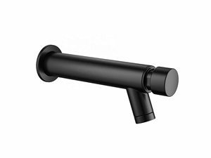<span class=keywords><strong>Robinet</strong></span> de salle de sport moderne chromé à bouton-<span class=keywords><strong>poussoir</strong></span> en plastique à temporisation, monotrou - Product Image 6