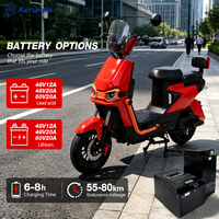 1000W Brushless Adult Electric Motorcycle & E Bike,Custom Motor&Color,China Factory,Convenient for Adult City Commuting