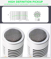 Microphone portable cardioïde à main C02, diaphragme à condensateur XLR pour enregistrement en studio, performance sur scène, chant, enregistrement de batterie