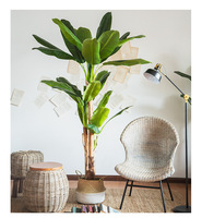 Vente d'usine : Bananier artificiel vert en fibre de verre de haute qualité, écologique, anti-UV, 120 cm, pour intérieur et extérieur, idéal pour les bonsaïs