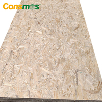 9mm 12mm 18mm Colle phénolique étanche E0 Osb3 OSB Board pour la construction