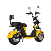 Trottinette électrique haute performance 1000W 60V avec BMS intelligent