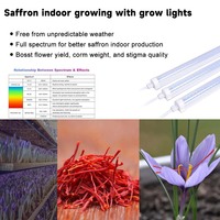 Lámpara de Cultivo para Azafrán, Lámpara LED de Espectro Completo para Cultivo Interior de Crocus, Cultivo en Invernadero
