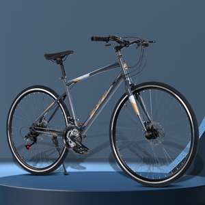Bicicleta de 700cc con Ruedas de 28 Pulgadas, Frenos de Disco Dobles, Cambios Variables, Cuadro sin Horquilla, Sin Suspensión, para Carretera y Cross-Country ZZ - Product Image 6