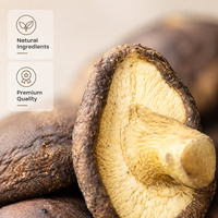 OEM Bulk VF Shiitake Champignon Chips Hard Vacuümgefrituurd Knapperig Geen Overige Olie Rijke Umami Snack Klaar om te Eten 10kg 12-Maanden Houdbaarheid
