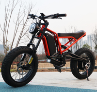 Usine en gros gros pneu vélo 20 pouces roue taille E vélo neige adulte 750W moto en stock américain moteur de cross-country