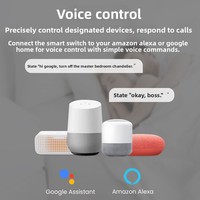 Disjoncteur intelligent WiFi IP66 1P+N AC90-240V, interrupteur intelligent, télécommande sans fil, minuterie, fonctionne avec Alexa Google Home