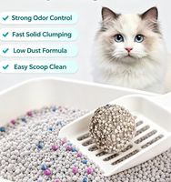 Litière pour chat en bentonite à particules rondes, hautement absorbante, anti-odeur, agglomération rapide, faible poussière, grise, sans traces, pour chatons