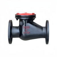Clapet anti-retour à battant en fonte graphite sphéroïdale H44T avec noyau en cuivre et noyau en fer, jointé, pour tuyau, bleu