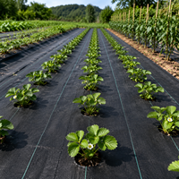 Rouleaux de bâche anti-mauvaises herbes en PEHD robuste, stabilisés aux UV, perméables et résistants à la déchirure, pour couverture de sol agricole et cultures.