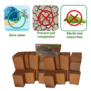 Briques de coco <span class=keywords><strong>bio</strong></span> sans BPA, compressées, s'agglutinent en 60 litres chacune, pour <span class=keywords><strong>substrat</strong></span> et fruitage de champignons - Product Image 1