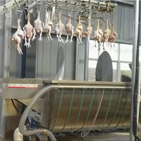 Équipement d'abattage de volailles entièrement automatique, équipement complet d'abattoir de poulets, ligne de traitement industrielle pour abattoir
