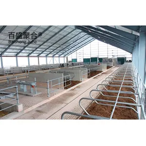Metal Frame Steel Structure Cow Cattle Farm House Prefab Cow Shed