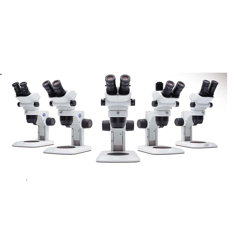 Equipo de laboratorio con fuente de luz ajustable arriba y abajo Microscopio binocular estéreo Microscopio biológico