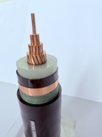 Xlpe Isoliertes gepanzertes PVC-ummanteltes Stromkabel 3-adriges 240/300/400 mm2 Elektrokabel U1000 R2V RVFV NYY YVV N2XY N2XBY