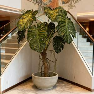 ต้นมอนสเตอร่าเทียมขนาดใหญ่ ออกแบบตามสั่ง สำหรับตกแต่งภูมิทัศน์ภายในอาคาร ต้นไม้มอนสเตอร่าขนาดใหญ่ทันสมัยสำหรับตกแต่งล็อบบี้โรงแรม - Product Image 3