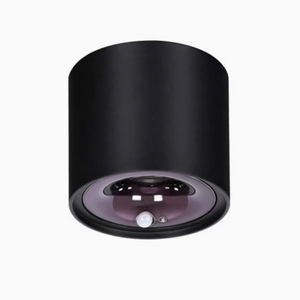 Hiện đại con người cảm ứng trần <span class=keywords><strong>Led</strong></span> chống chói 12 Wát xuống ánh sáng nhà trong nhà hành lang cảm biến chuyển động bề mặt được gắn COB Downlight - Product Image 1