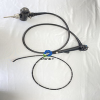 Gastroscope et colonoscope portables de dernière technologie EUR PET, équipement vétérinaire, endoscope flexible pour animaux