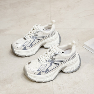 Chaussures de sport décontractées argentées 2026 - Nouvelles chaussures de sport épaisses en maille à lacets pour femmes - Chaussures à lacets - Product Image 1