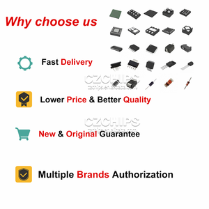 Circuito integrado de microcontrolador IC CZSKU:IA481RXI75 favorito del cliente - Product Image 5