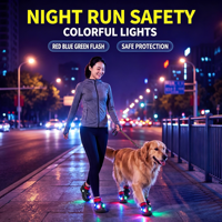 Chaussures pour chien en EVA lumineuses à LED, antidérapantes, respirantes, imperméables, réglables, protège-pattes pour la marche en extérieur