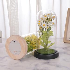 Seiden-Kunstblumen-Gänseblümchen-Ornament mit Glasabdeckung LED-Nachtlicht Kreatives Valentinstag-Geburtstagsgeschenk für Freundin Großhandel - Product Image 4