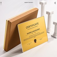 Medalla de Metal Acrílica Creativa Personalizada, Carta de Autorización Comercial para Agencias de Franquicias, Placas de Premio Honoríficas Personalizadas con Impresión UV