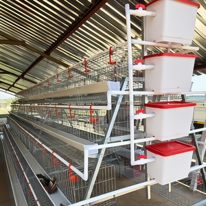 A Type Custom Installation 96 <strong>Birds</strong> 3 Tiers Galvanized <strong>Cage</strong> - Product Image 3