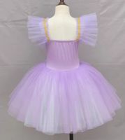 Robe de danse de ballet à jupe bouffante, manches bouffantes, tenue de ballerine, tutu de danse avec broderie florale pour enfants