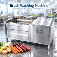 Automatische groentewasmachine borsteltype aardappelreiniger schiller voedselverwerkingsmachines voor fabrieks productielijn
