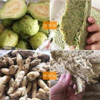 Hydraulische fruitkoude persmachine voor commercieel gebruik, avocado's en groenten koude pers-extractor, persmachines, persmachine