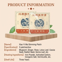Patch Minceur Ventre Plat à Base de Plantes Han Dynasty pour Femmes – Brûle-Graisse et Réducteur de Tour de Taille pour le Sommeil