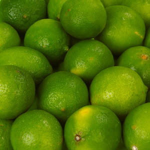 Grade <b>Fresh</b> Seedless Lime Green Skin Juicy <b>Citrus</b> <b>Fruit</b> Vietnam Origin Bulk Supply Global Export Standard High Quality 12 Months - Product Image 5