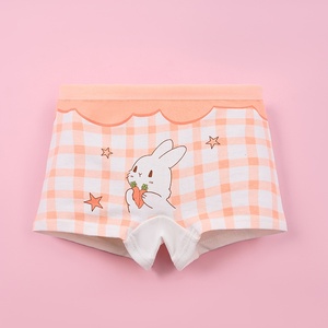 Ropa Interior de Algodón para Niñas, Suave, Transpirable, Ecológica, Cintura Elástica, Calzoncillos Tipo Bóxer para Niños, Paquete de 4 para Niños Pequeños - Product Image 2