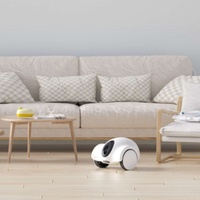 Smart Companion Robot pour animaux de compagnie peut vous permettre de voir, d'entendre, de jouer avec et de traiter vos animaux de compagnie en utilisant la connexion wifi APP gratuite
