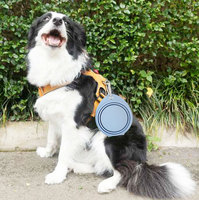 Bols pliables étanches en silicone pour animaux de compagnie bol d'alimentation pour chien bol pliable en silicone pour animaux de compagnie